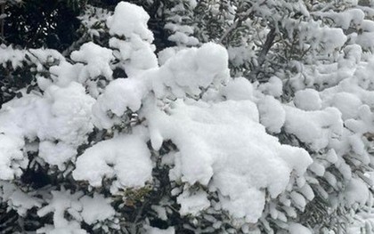 Nơi vừa có tuyết rơi hiếm có sau gần 20 năm!