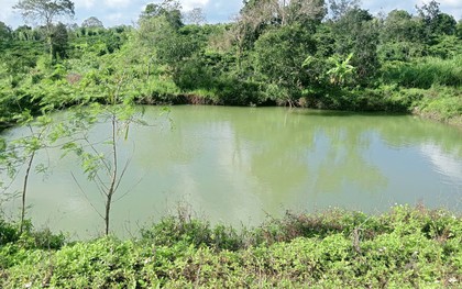 Ba trẻ nhỏ chết đuối thương tâm tại hồ tưới cà phê ở Đắk Lắk