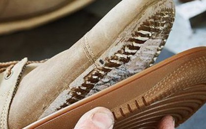 Vì sao giày để lâu nhanh hỏng hơn giày đi thường xuyên?