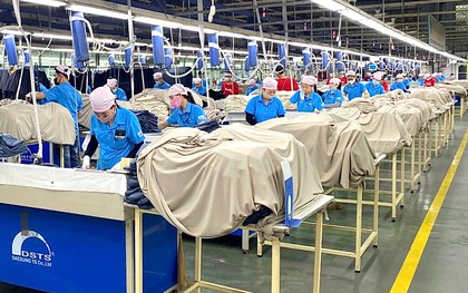 2.640 công nhân Công ty Panko Vina sắp mất việc sẽ được giới thiệu việc làm mới