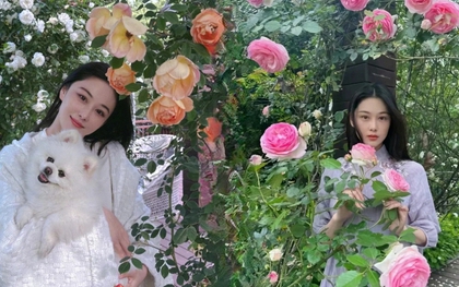 Từng là mỹ nhân thị phi, giờ là “bà chủ nông trại nhỏ”: Trương Hinh Dư khoe vườn hoa, vườn rau đẹp như tranh Monet khiến chị em phát sốt