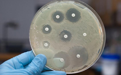 Đối phó mối đe dọa toàn cầu mang tên "kháng kháng sinh": Giải pháp từ các nhà khoa học đình đám tại VinFuture