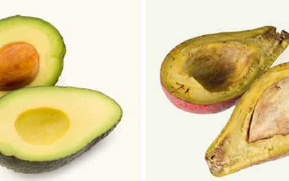 Có nên ăn phần thịt quả bơ đã chuyển sang màu nâu?
