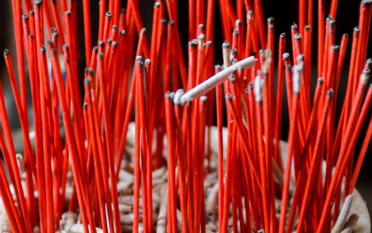 Sai lầm lớn nhất khi tỉa chân hương