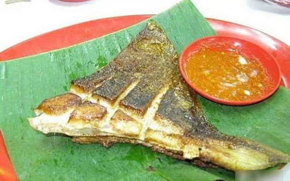 6 loài cá ăn được "nguy hiểm nhất thế giới", có tiền chưa chắc đã được ăn!