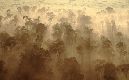 Rừng châu Phi chính thức đảo ngược: Từ lá phổi xanh thành nguồn phát thải carbon