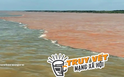 "Giải mã" hiện tượng nước có màu xanh và nâu đỏ ở ven biển Cà Mau