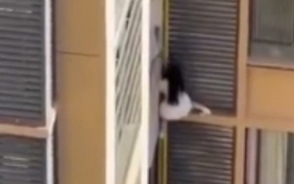 Người phụ nữ trèo ra khỏi cửa sổ căn hộ chung cư khiến hàng xóm sốc nặng