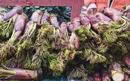 Việt Nam có loại rau mọc dại, nhưng ở Trung Quốc lại là "cao lương mỹ vị số 1": Bổ ngang nhân sâm, bán đắt hơn cả thịt