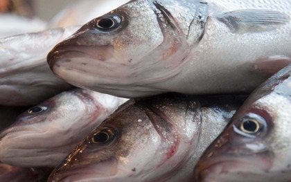 10 mẹo chọn cá tươi người bán không muốn bạn biết