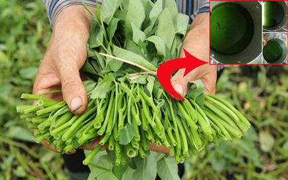 7 loại rau dễ bị phun thuốc nhất