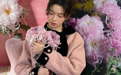 Mê mẩn loài cúc lạ "Sư Tử Phấn Bạch": Nhìn tưởng lông vũ, sờ mịn như tơ, bí kíp chăm trong chung cư kín gió vẫn nở bung rực rỡ