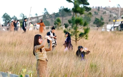 Du khách đổ xô đi cắm trại, check-in ở đồi cỏ phủ màu 'siêu thực'