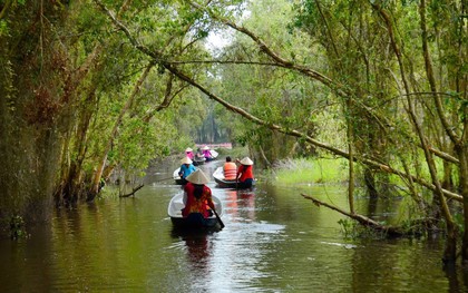Làng nổi Tân Lập - chốn bình yên giữa làng quê sông nước