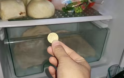 Người thông minh bỏ 1 đồng xu vào tủ lạnh trước khi vắng nhà dài ngày: Lý do nghe xong ai cũng phải gật gù đồng ý