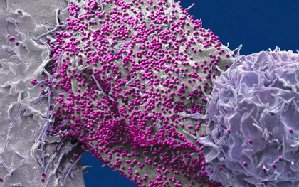 Người đàn ông được chữa khỏi HIV sau khi ghép tế bào gốc