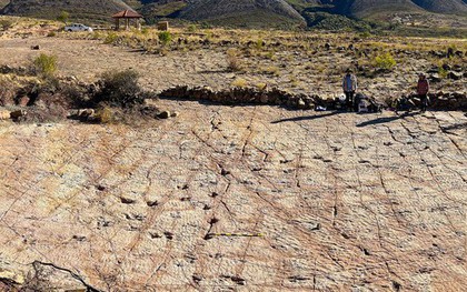 Gần 18.000 dấu chân quái vật "xới nát" công viên quốc gia