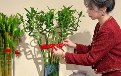 Chưng Tết đừng chỉ mua hoa: Có một loại cây "rẻ bèo" nhưng hút tài lộc cực mạnh, đặt đúng 4 cành lên bàn học con cái thi cử đỗ đạt, gia chủ tiền vào như nước