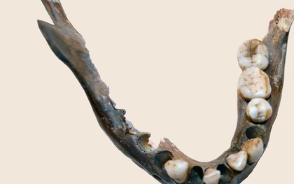 1.400 năm trước vẫn có một nhóm người mang DNA khác hầu hết người hiện đại