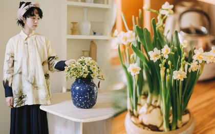 Tết này nhất định phải dưỡng một bát thủy tiên "băng cơ ngọc cốt", vừa sang nhà vừa hút tài lộc đầu năm