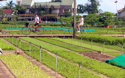 Làng rau Trà Quế xứng danh "Làng Du lịch tốt nhất"