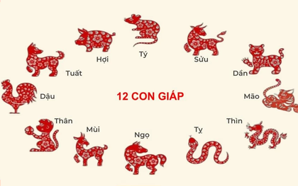 Tử vi 12 con giáp năm Ất Tỵ 2025: Đâu là những con giáp thăng tiến và giàu có nhất?