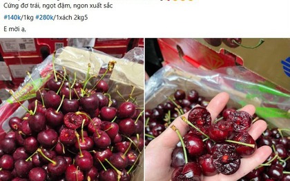 Cherry Chile giá sập sàn chỉ hơn 100.000 đồng/kg, dân tình đổ xô "mua như trẩy hội"