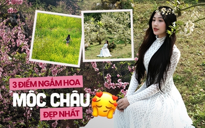 “Ngắm hoa Mộc Châu gì chưa người đẹp ơi?”: Đâu phải hoa mận tàn là hết vui, vì chậm chân nhỡ đâu là người may mắn nhất!