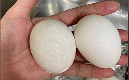 Thấy trứng có 4 đặc điểm này trên vỏ cần vứt ngay, đừng tiếc rẻ mà mang bệnh vào người