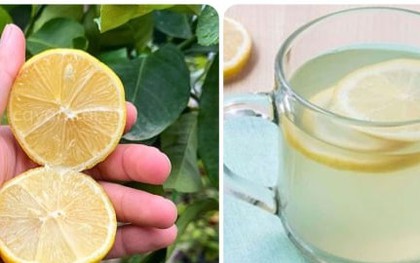 Uống nước chanh ấm trong 10 ngày cơ thể sẽ nhận được tác dụng gì?
