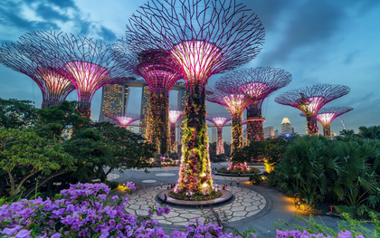 Dạo quanh một Singapore về đêm lung linh khó cưỡng