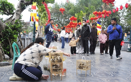 Hà Nội: Người dân phóng sinh cá và chim trước cổng chùa cầu may đầu năm mới