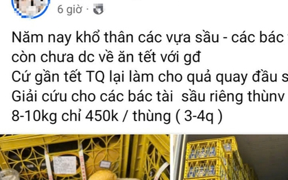 Thực hư “giải cứu” sầu riêng giá siêu rẻ