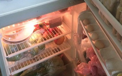 Đặt 2 thứ này vào tủ lạnh, tôi tiếc ròng vì sống nửa đời người mà không biết làm sớm hơn