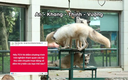 Thảo Cầm Viên bất ngờ "tung hint" sẽ có tour đêm nhưng dân mạng lại rất lo lắng tới 1 vấn đề