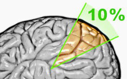 Chúng ta có thể làm được gì với một bộ não được kích hoạt 100%?