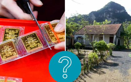 Có 500 triệu mua vàng hay mua đất ở tỉnh lẻ? ChatGPT đưa đáp án “bẻ lái” đầy bất ngờ