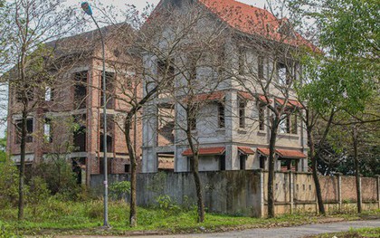 Mua lô đất bỏ hoang suốt 2 thập kỷ, bán gấp 10 lần tưởng đã lãi to, ai ngờ chỉ trong 3 tháng sau giá lại tăng thêm 8 lần nữa khiến người bán tiếc ngẩn ngơ