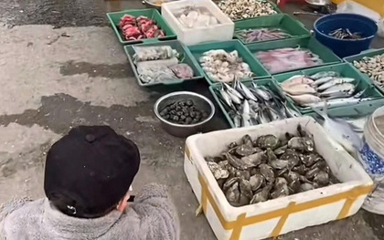 Con muốn đi thủy cung, mẹ đưa đến nơi không ai ngờ, người chê "thế hệ cợt nhả làm mẹ", người khen "dạy con hay"