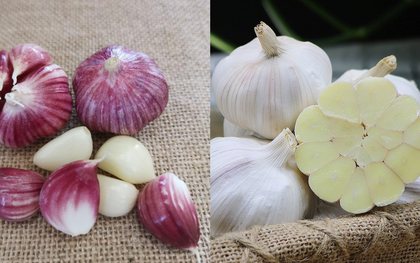 Tỏi vỏ tím hay vỏ trắng tốt hơn? Lão nông nói một câu, tôi bỗng được "thông não"!