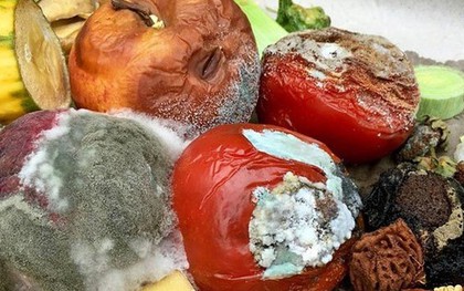 Thực phẩm mốc chỉ cần vứt bỏ hay cắt phần hỏng là vẫn dùng được? Những dấu hiệu nhận biết không phải ai cũng rõ