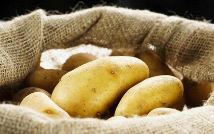 Rắc 1 nắm thứ này vào khoai tây, để cả năm không thối hay mọc mầm