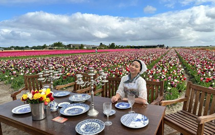 Người Việt lạc lối giữa cánh đồng hoa tulip như cổ tích ở Hà Lan