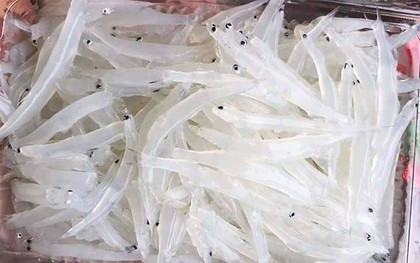 Cá ngần sông Đà làm những món gì ngon?