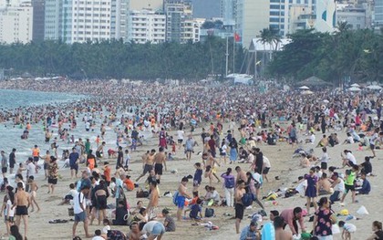 Xuất hiện sứa lửa ở biển Nha Trang