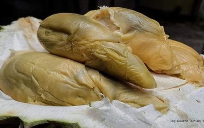 Giới "sành ăn" săn lùng giống quả mới: Mùi thơm quyến rũ, hương vị đặc biệt không thể lẫn vào đâu được