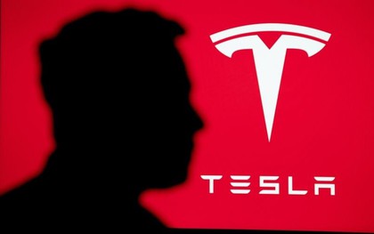 Sức mạnh của Elon Musk: Tuyên bố giảm bớt công việc ở Nhà Trắng để tập trung cho Tesla, cổ phiếu công ty tăng tới 32% chỉ sau 1 tháng