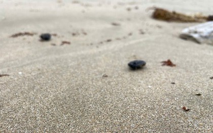 Dầu vón cục lại xuất hiện ở biển Nha Trang, dính đầy vào du khách tắm biển