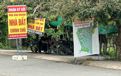 Giữ lô đất 10 năm không bán, giá tăng gấp 7 lần, nhà đầu tư này vẫn tự tin: “Tôi chờ thêm 10 năm nữa”