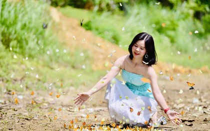 Bướm bay rợp trời ở Cúc Phương